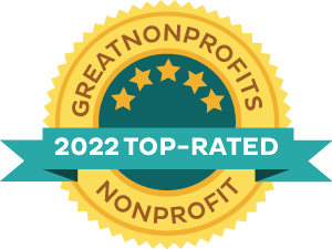 2022 top rated great nonprofits kailee mills foundation