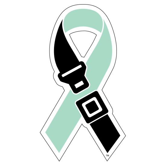 Seat Belt Safety Kailee Mills Foundation Texas Charity